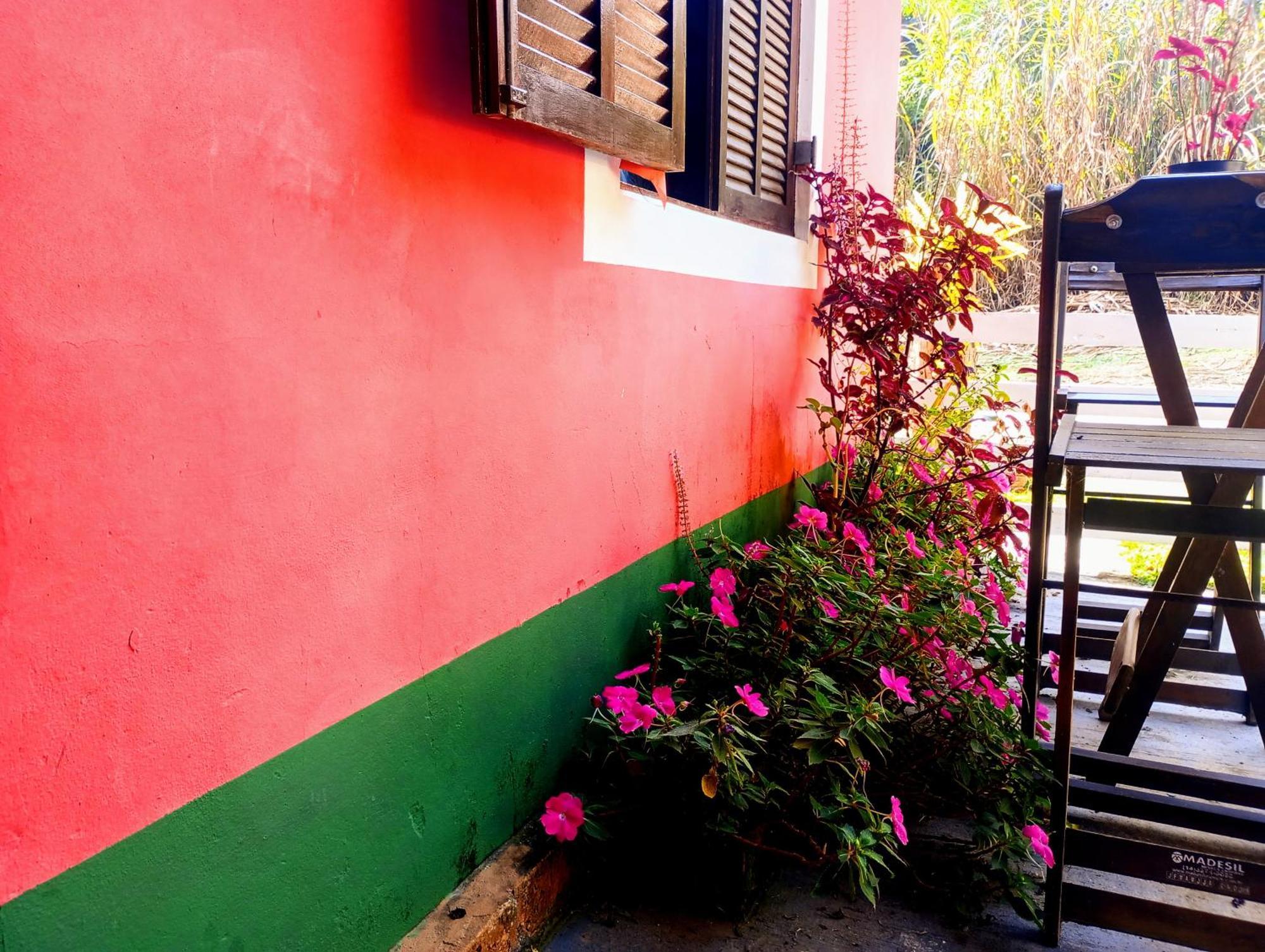 O Brejo Encantado Hospedagem E Hostel 恩布 外观 照片